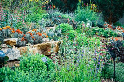 Zo maak je je tuin klimaatbestendig voor hete zomers